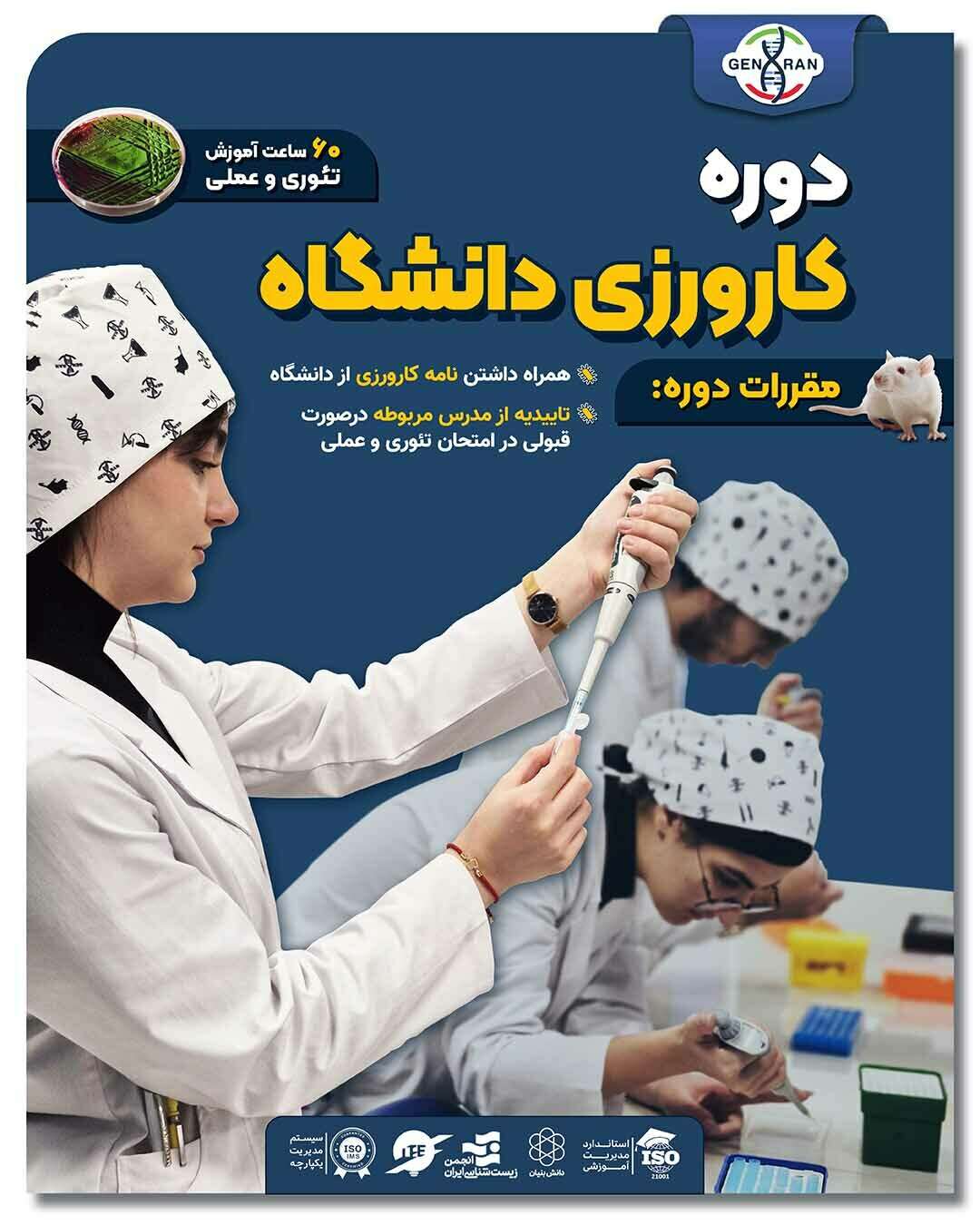 دوره کارورزی اقتصادی