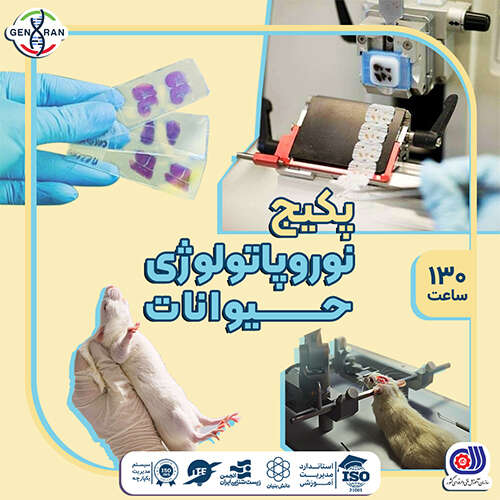 پکیج نوروپاتولوژی حیوانات