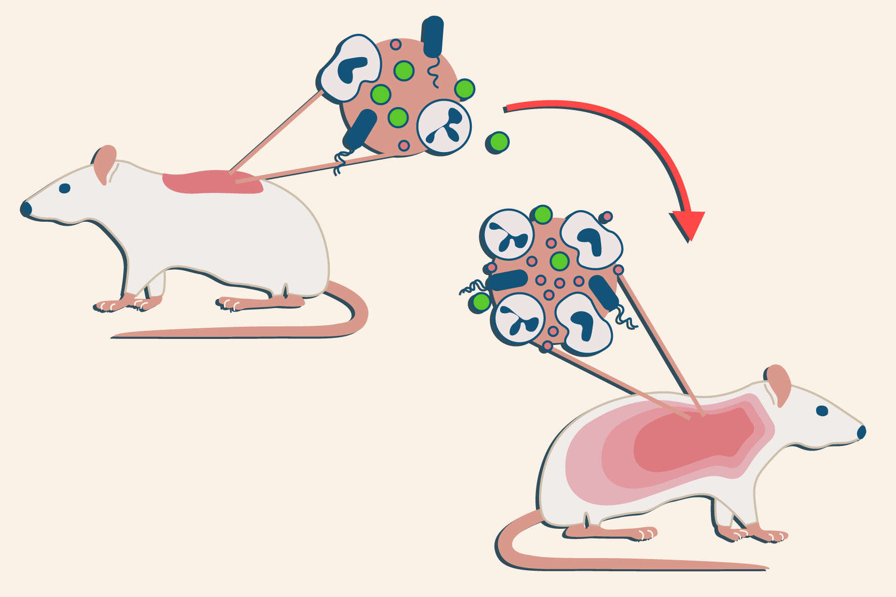التهاب سیستمیک