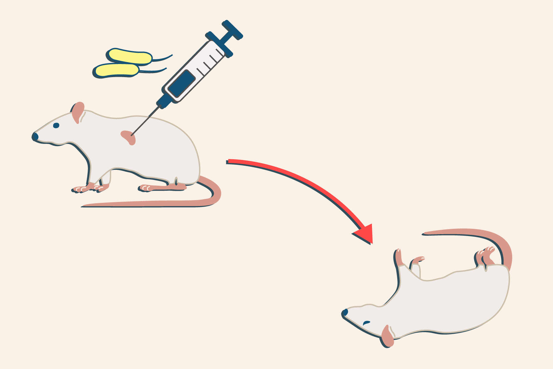 عفونت باکتریایی