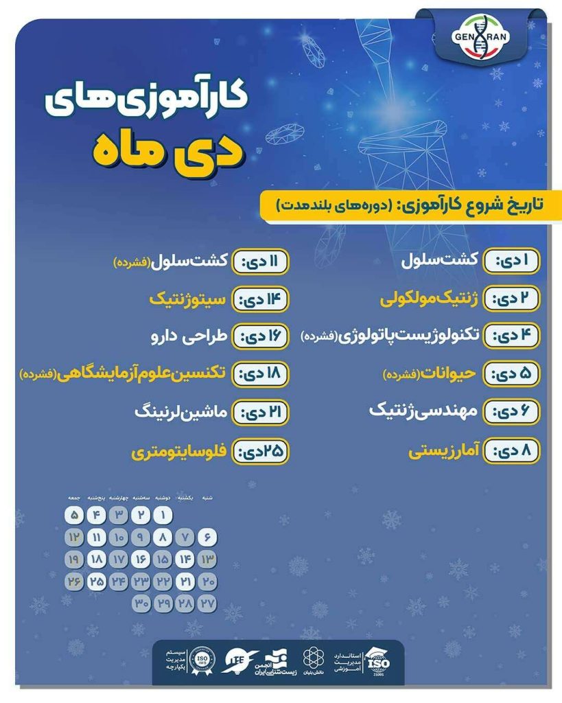 تقویم دی ۱۴۰۴