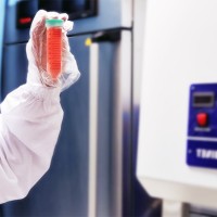 فالکون آزمایشگاهی لوله ای مدرج برای ذخیره سازی و نگهداری از محلول ها و مواد مختلف است. عکس فالکون آزمایشگاه کشت سلول