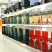 محیط های کشت میکروبی انواع مختلفی دارند، که از آن برای تشخیص افتراقی یا کشت انتخابی میکروارگانیسم هایی از جمله باکتری ها استفاده میشود. محیط های کشت میکروبی