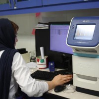 ریل تایم پی سی آر تکنیکی است که در آن میتوان واکنش PCR را به طور لحظه ای و کمی مورد بررسی قرار داد. Real-time PCR