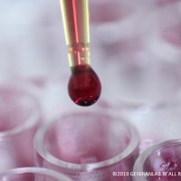 تست MTT نوعی تست سنجس سمیت داروها یا مواد دیگر بر روی سلول های زنده است. تست MTT