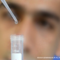 یادگیری تکنیک های آزمایشگاهی با شرکت در دوره های کارآموزی طولانی مدت آزمایشگاه تحقیقاتی ژنیران. کارآموزی