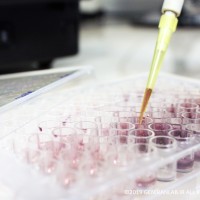 تست MTT پرکاربرد ترین تست شناخته شده برای بررسی اثر سمیت داروها یا سایر مکمل های دیگر بروی سلول های زنده است. تست MTT