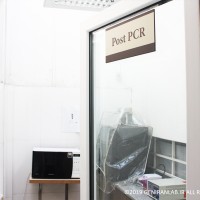 اتاق Post PCR