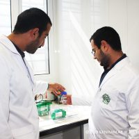 دوره کارآموزی مهندسی ژنتیک و کلونینگ آزمایشگاه ژنیران با سرفصل های جذاب میزبان شماست. دوره کارآموزی مهندسی ژنتیک و کلونینگ