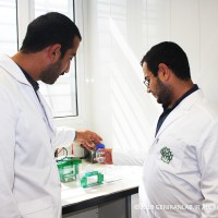 دوره کارآموزی مهندسی ژنتیک و کلونینگ آزمایشگاه ژنیران با سرفصل های جذاب میزبان شماست. دوره کارآموزی مهندسی ژنتیک و کلونینگ