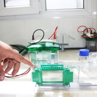 SDS PAGE نوعی تکنیک الکتروفورز است که از آن برای جداسازی پروتئین ها استفاده میشود. دستگاه SDS PAGE