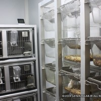 قفس حیوانات آزمایشگاه ژنیران