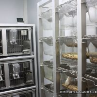 قفس حیوانات آزمایشگاه ژنیران