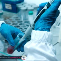 کار زیر هود لامینار