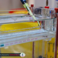 لود کردن روی ژل لود کردن روی ژل