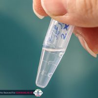 استخراج DNA