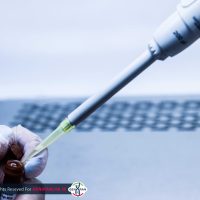 Real-Time PCR