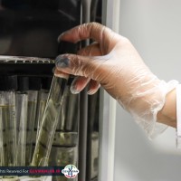 نمونه ها انکوباتور