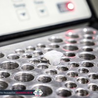 هیتر استیرر