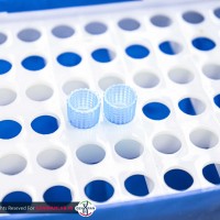 سر سمپلر آبی