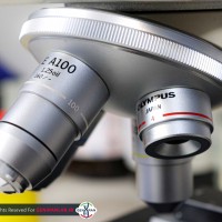 لنز میکروسکوپ