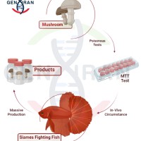 نمونه کار گرافیکال ابسترکت