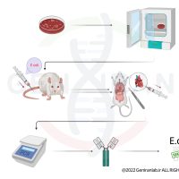 نمونه کار گرافیکال ابسترکت
