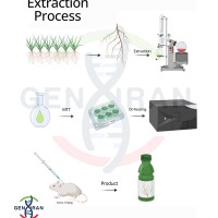 نمونه کار گرافیکال ابسترکت